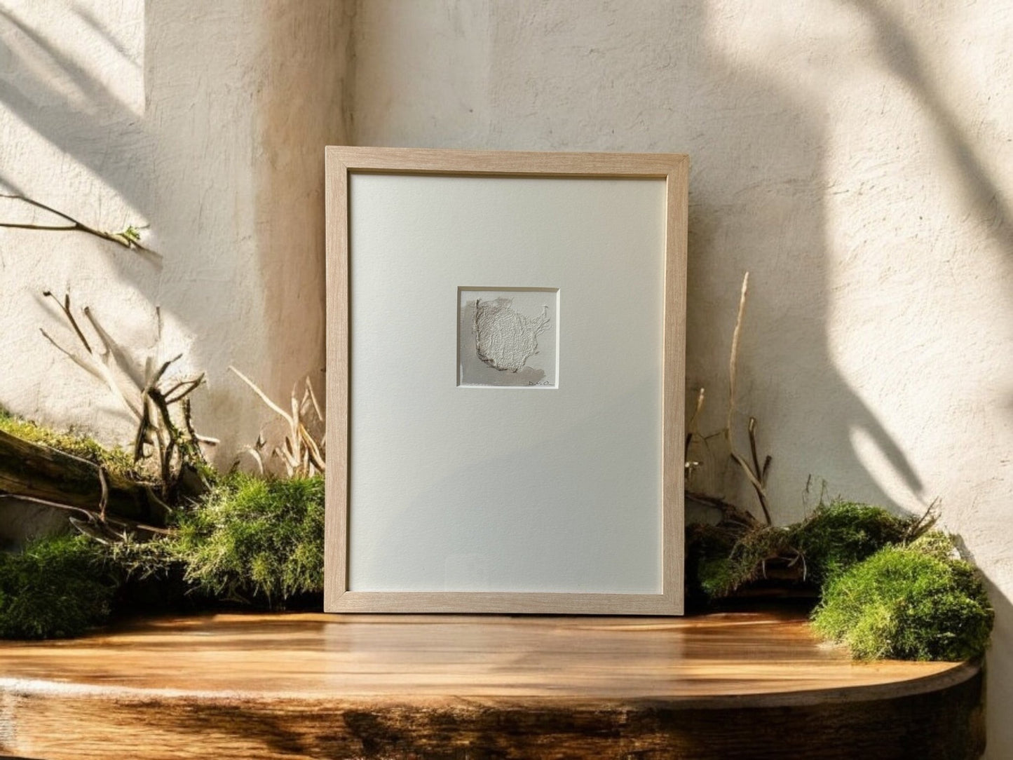 Terrain Moments Series - DVO - 1121 - The Artful
